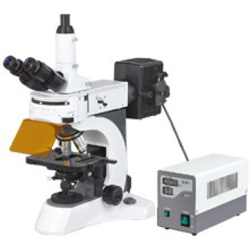 Microscópio Fluorescente Biológico de Laboratório (N-800F)